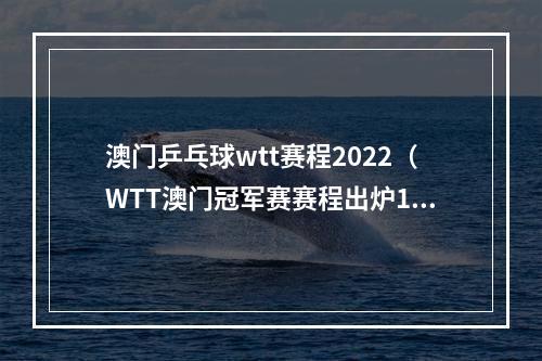 澳门乒乓球wtt赛程2022（WTT澳门冠军赛赛程出炉19日首轮）
