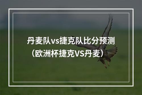 丹麦队vs捷克队比分预测（欧洲杯捷克VS丹麦）