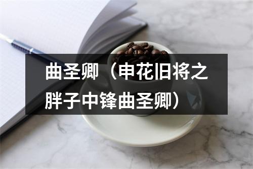 曲圣卿（申花旧将之胖子中锋曲圣卿）