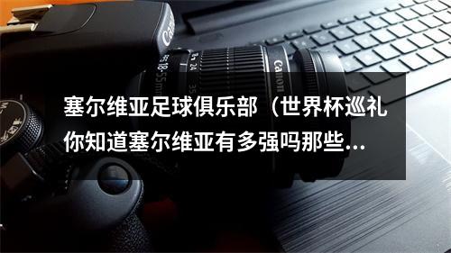 塞尔维亚足球俱乐部（世界杯巡礼你知道塞尔维亚有多强吗那些被低估的球队1）
