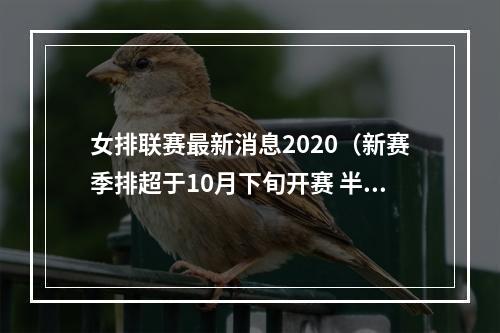 女排联赛最新消息2020（新赛季排超于10月下旬开赛 半决赛和决赛采取主客场制）