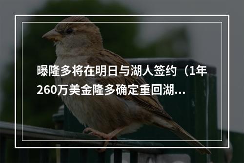 曝隆多将在明日与湖人签约（1年260万美金隆多确定重回湖人队）