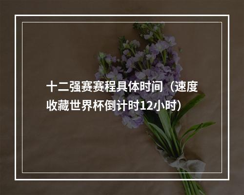 十二强赛赛程具体时间（速度收藏世界杯倒计时12小时）