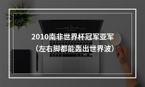 2010南非世界杯冠军亚军（左右脚都能轰出世界波）