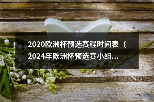 2020欧洲杯预选赛程时间表（2024年欧洲杯预选赛小组赛）