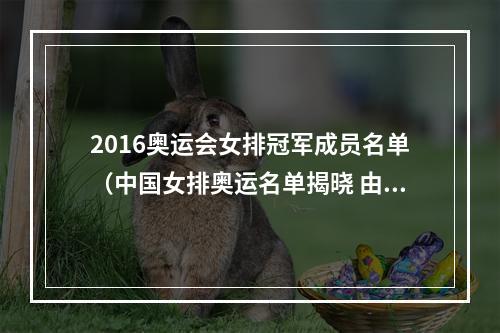 2016奥运会女排冠军成员名单（中国女排奥运名单揭晓 由队长朱婷领衔）