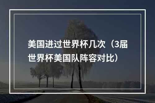 美国进过世界杯几次（3届世界杯美国队阵容对比）