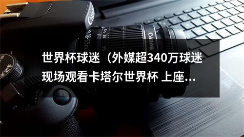 世界杯球迷（外媒超340万球迷现场观看卡塔尔世界杯 上座率为历史第三）