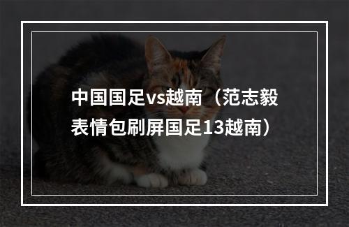 中国国足vs越南（范志毅表情包刷屏国足13越南）