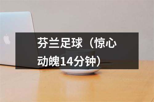 芬兰足球（惊心动魄14分钟）