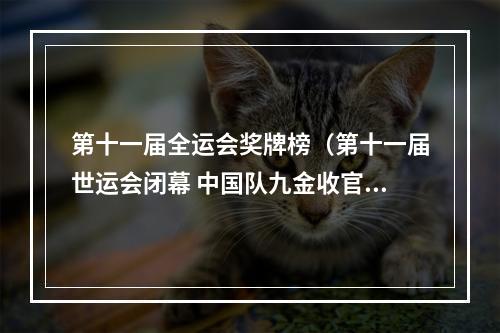 第十一届全运会奖牌榜（第十一届世运会闭幕 中国队九金收官）