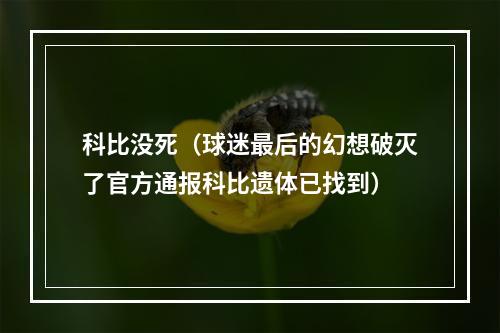 科比没死（球迷最后的幻想破灭了官方通报科比遗体已找到）