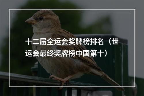 十二届全运会奖牌榜排名（世运会最终奖牌榜中国第十）