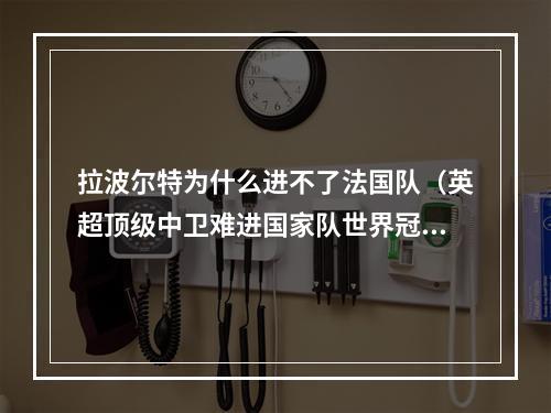 拉波尔特为什么进不了法国队（英超顶级中卫难进国家队世界冠军主帅道出实情人才太多）