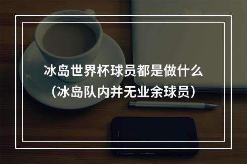 冰岛世界杯球员都是做什么（冰岛队内并无业余球员）