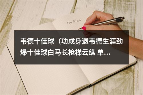 韦德十佳球（功成身退韦德生涯劲爆十佳球白马长枪梯云纵 单骑救主闪电侠）