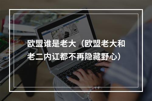 欧盟谁是老大（欧盟老大和老二内讧都不再隐藏野心）