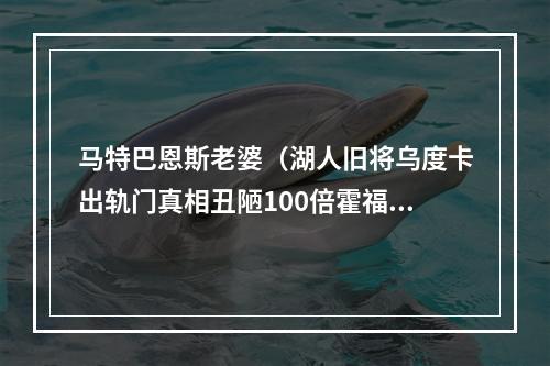 马特巴恩斯老婆（湖人旧将乌度卡出轨门真相丑陋100倍霍福德妹妹否认是女主角）