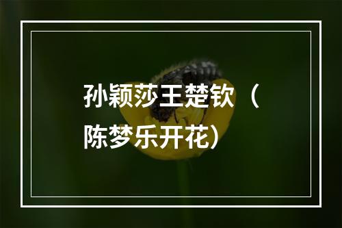 孙颖莎王楚钦（陈梦乐开花）