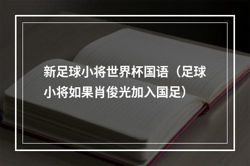 新足球小将世界杯国语（足球小将如果肖俊光加入国足）