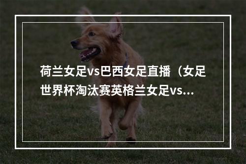 荷兰女足vs巴西女足直播（女足世界杯淘汰赛英格兰女足vs尼日利亚女足）
