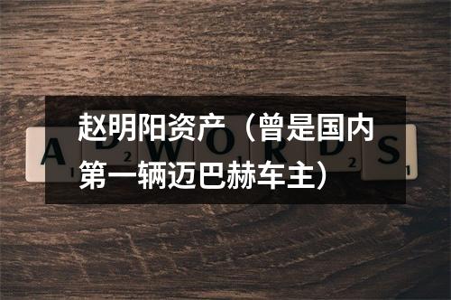 赵明阳资产（曾是国内第一辆迈巴赫车主）