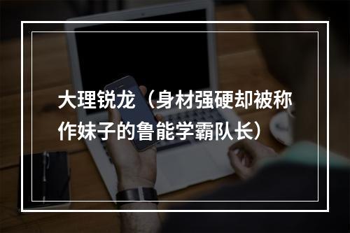 大理锐龙（身材强硬却被称作妹子的鲁能学霸队长）