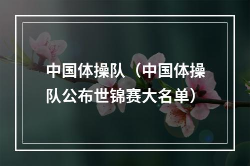 中国体操队（中国体操队公布世锦赛大名单）