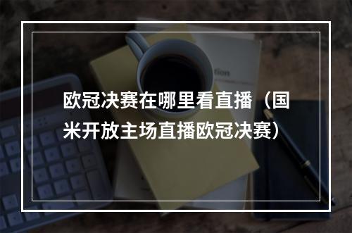 欧冠决赛在哪里看直播（国米开放主场直播欧冠决赛）