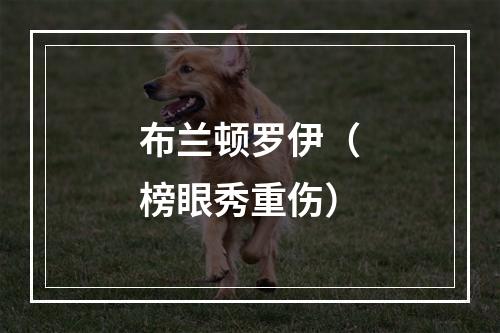 布兰顿罗伊（榜眼秀重伤）