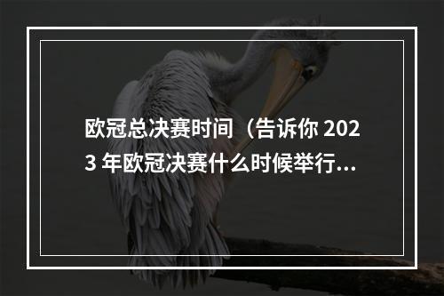 欧冠总决赛时间（告诉你 2023 年欧冠决赛什么时候举行日期开球时间和地点）