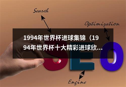 1994年世界杯进球集锦（1994年世界杯十大精彩进球欣赏）