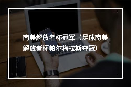 南美解放者杯冠军（足球南美解放者杯帕尔梅拉斯夺冠）