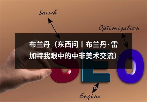 布兰丹（东西问丨布兰丹·雷加特我眼中的中非美术交流）