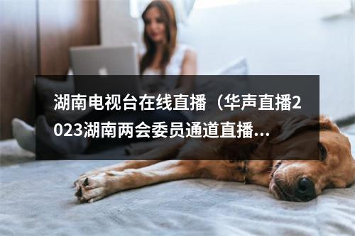 湖南电视台在线直播（华声直播2023湖南两会委员通道直播第一场）