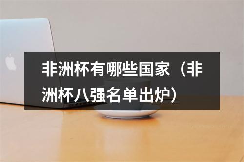 非洲杯有哪些国家（非洲杯八强名单出炉）