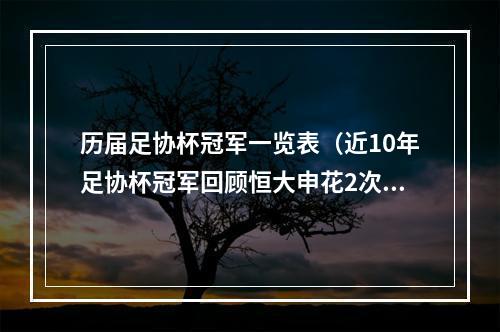 历届足协杯冠军一览表（近10年足协杯冠军回顾恒大申花2次问鼎）