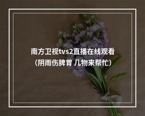 南方卫视tvs2直播在线观看（阴雨伤脾胃 几物来帮忙）