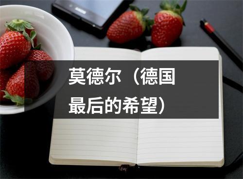 莫德尔（德国最后的希望）