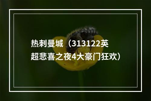 热刺曼城（313122英超悲喜之夜4大豪门狂欢）