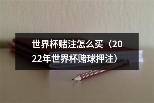 世界杯赌注怎么买（2022年世界杯赌球押注）