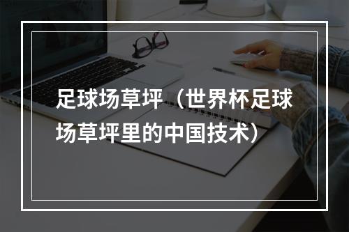 足球场草坪（世界杯足球场草坪里的中国技术）