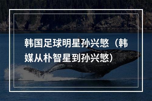 韩国足球明星孙兴慜（韩媒从朴智星到孙兴慜）
