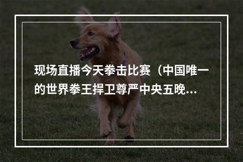 现场直播今天拳击比赛（中国唯一的世界拳王捍卫尊严中央五晚黄金时段现场直播）