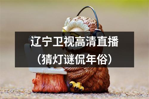 辽宁卫视高清直播（猜灯谜侃年俗）
