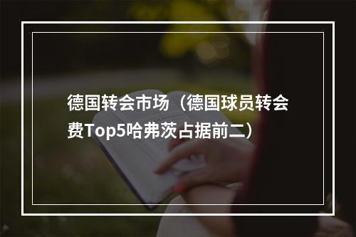德国转会市场（德国球员转会费Top5哈弗茨占据前二）