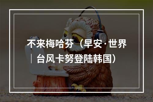 不来梅哈芬（早安·世界｜台风卡努登陆韩国）