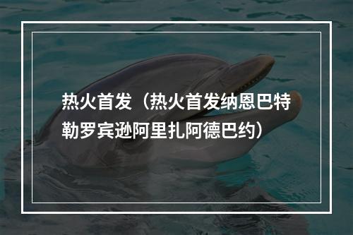 热火首发（热火首发纳恩巴特勒罗宾逊阿里扎阿德巴约）