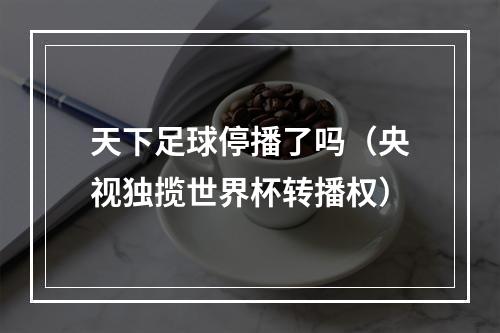 天下足球停播了吗（央视独揽世界杯转播权）