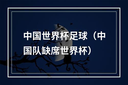 中国世界杯足球（中国队缺席世界杯）